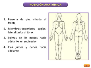 8
POSICIÓN ANATÓMICA
1. Persona de pie, mirada al
frente
2. Miembros superiores caídos,
lateralizados al tórax
3. Palmas de las manos hacia
adelante, en supinación
4. Pies juntos y dedos hacia
adelante
 