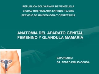 REPUBLICA BOLIVARIANA DE VENEZUELA
CIUDAD HOSPITALARIA ENRIQUE TEJERA
SERVICIO DE GINECOLOGIA Y OBSTETRICIA
ANATOMIA DEL APARATO GENITAL
FEMENINO Y GLANDULA MAMARIA
EXPONENTE:
DR. PEDRO EMILIO OCHOA
 