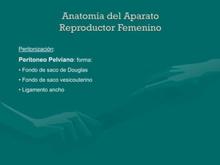 Anatomia_genitales ext e int.ppt