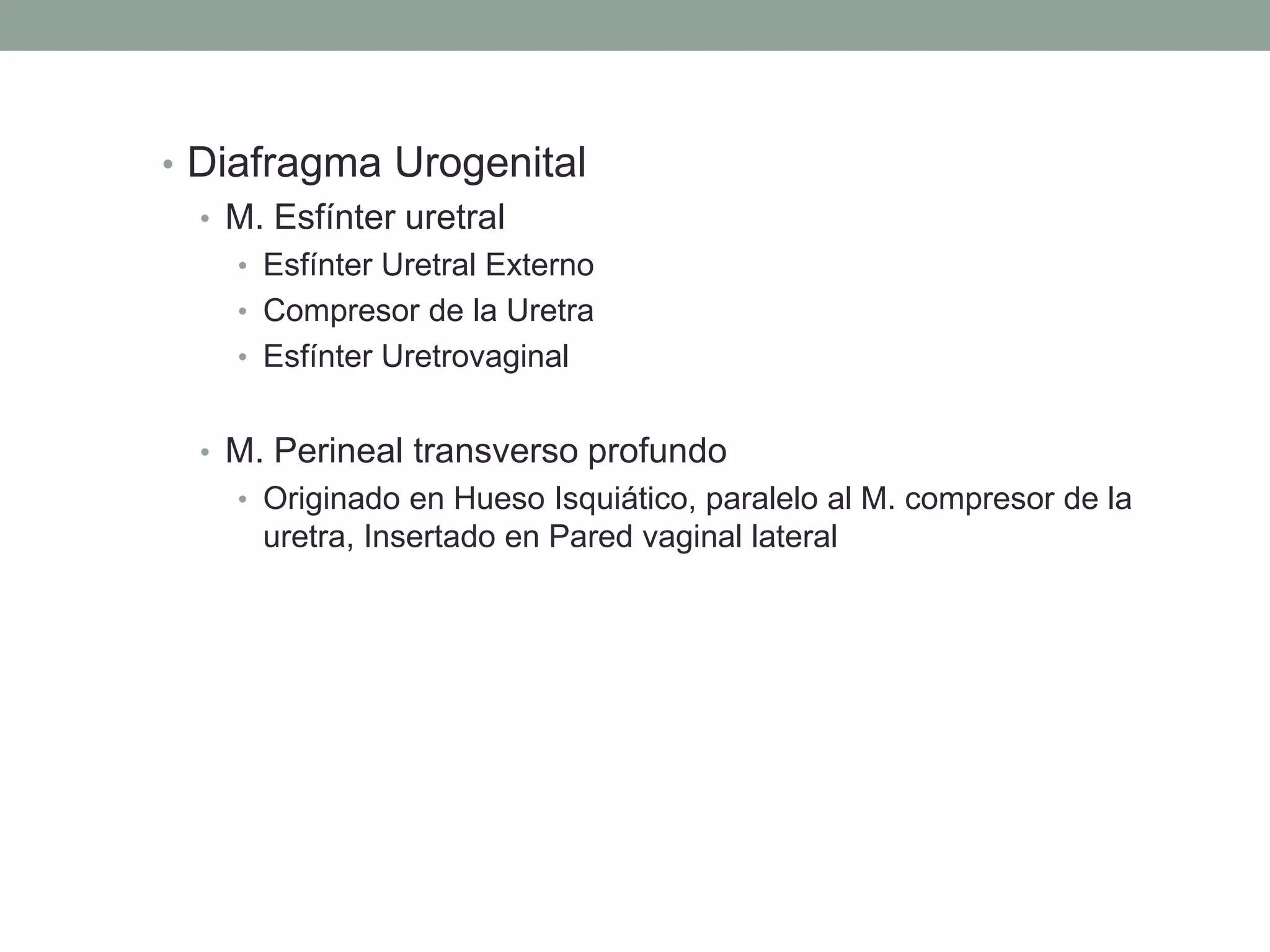 Externos anatomia genitales externos..ppt
