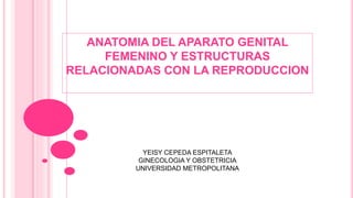 ANATOMIA DEL APARATO GENITAL
FEMENINO Y ESTRUCTURAS
RELACIONADAS CON LA REPRODUCCION
YEISY CEPEDA ESPITALETA
GINECOLOGIA Y OBSTETRICIA
UNIVERSIDAD METROPOLITANA
 