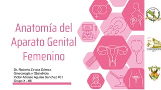 Anatomía del
Aparato Genital
Femenino
Dr. Roberto Zavala Gómez
Ginecología y Obstetricia
Victor Alfonso Aguirre Sanchez #01
Grupo X - 06
 