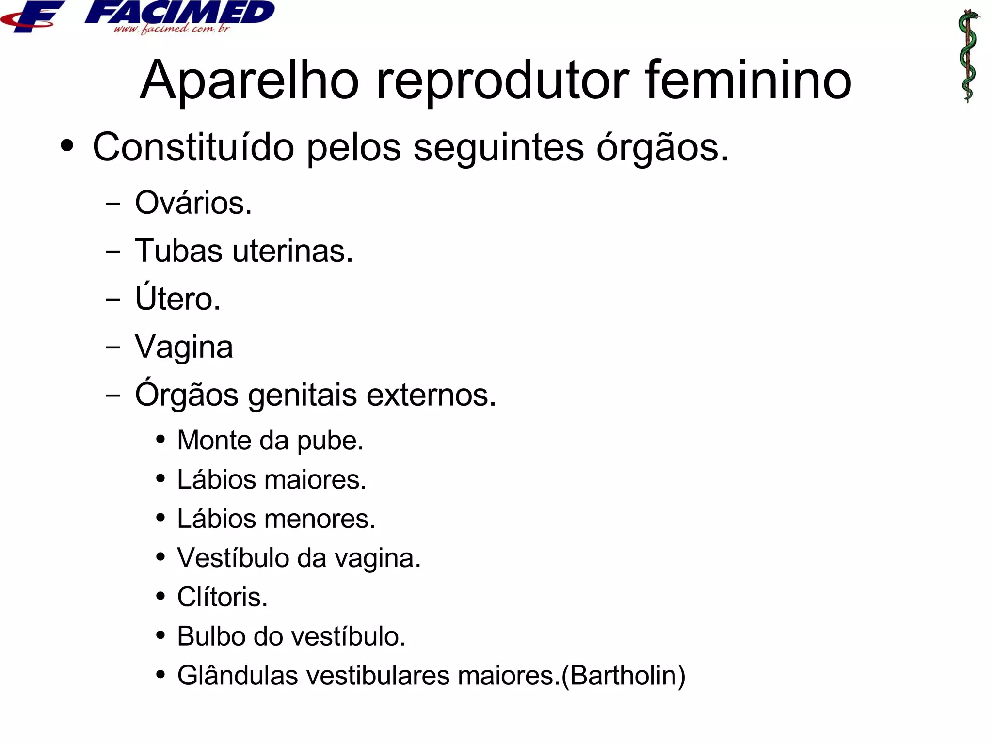 Anatomia genital feminino