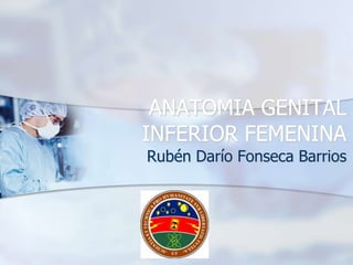 ANATOMIA GENITAL
INFERIOR FEMENINA
Rubén Darío Fonseca Barrios
 