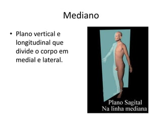 Sagital
• Plano vertical,
longitudinal e
paralelo ao plano
medial.
 