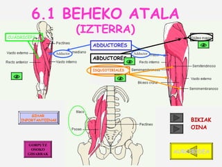 Anatomia Giharrak Aurkezpena PPT anatomia-giharrak-aurkezpena-ppt