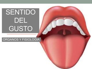 SENTIDO
DEL
GUSTO
ORGANOS Y FISIOLOGIA
 