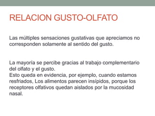 RELACION GUSTO-OLFATO
Las múltiples sensaciones gustativas que apreciamos no
corresponden solamente al sentido del gusto.
La mayoría se percibe gracias al trabajo complementario
del olfato y el gusto.
Esto queda en evidencia, por ejemplo, cuando estamos
resfriados, Los alimentos parecen insípidos, porque los
receptores olfativos quedan aislados por la mucosidad
nasal.
 