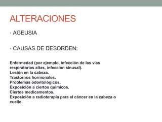 ALTERACIONES
• AGEUSIA
• CAUSAS DE DESORDEN:
Enfermedad (por ejemplo, infección de las vías
respiratorias altas, infección sinusal).
Lesión en la cabeza.
Trastornos hormonales.
Problemas odontológicos.
Exposición a ciertos químicos.
Ciertos medicamentos.
Exposición a radioterapia para el cáncer en la cabeza o
cuello.
 