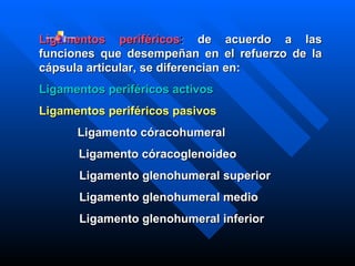 Ligamentos periféricos :  de acuerdo a las funciones que desempeñan en el refuerzo de la cápsula articular, se diferencian en: Ligamentos periféricos activos Ligamentos periféricos pasivos        Ligamento córacohumeral Ligamento córacoglenoideo Ligamento glenohumeral superior   Ligamento glenohumeral medio   Ligamento glenohumeral inferior 