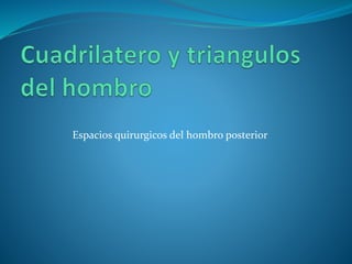 Espacios quirurgicos del hombro posterior
 