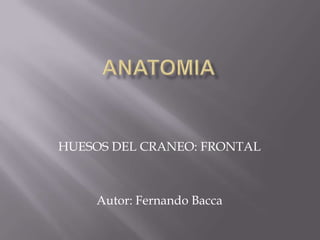 ANATOMIA HUESOS DEL CRANEO: FRONTAL Autor: Fernando Bacca 