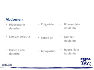 TERMINOLOGÍA MEDICA Y ANATÓMICA