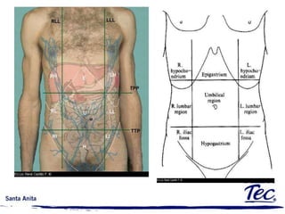 Anatomía vs. fisiologíaAnatomía. Describe las diferentes partes del cuerpo de un organismo desde sus niveles celulares, de tejidos, órganos, sistemas y el organismo como tal.fisiología. Explica como los diferentes elementos del cuerpo interactúan para ser funcionales, y dan vida a los organismos