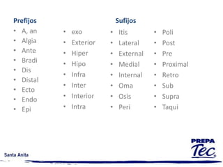 Prefijos SufijosA, anAlgiaAnteBradiDisDistalEctoEndoEpiexoExteriorHiperHipoInfraInterInteriorIntraItis