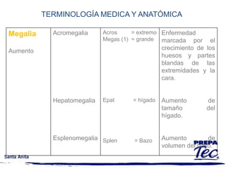 Medial 