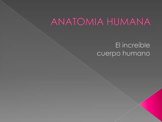 ANATOMIA HUMANA El increíble  cuerpo humano 
