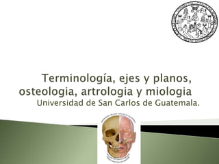 Terminología, ejes y planos, osteologia, artrologia y miologia Universidad de San Carlos de Guatemala. 