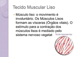Tecido Muscular Liso
   Músculo liso: o movimento é
    involuntário. Os Músculos Lisos
    formam as vísceras (Órgãos vitais). O
    estímulo para a contração dos
    músculos lisos é mediado pelo
    sistema nervoso vegetativo.
 