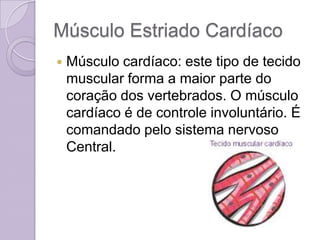Músculo Estriado Cardíaco
   Músculo cardíaco: este tipo de tecido
    muscular forma a maior parte do
    coração dos vertebrados. O músculo
    cardíaco é de controle involuntário. É
    comandado pelo sistema nervoso
    Central.
 