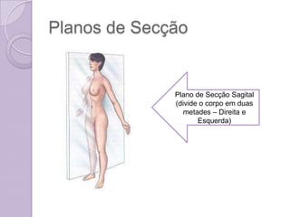 Planos de Secção


              Plano de Secção Sagital
              (divide o corpo em duas
                 metades – Direita e
                     Esquerda)
 