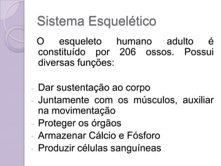 Sistema Esquelético
    O    esqueleto    humano adulto é
    constituído por 206 ossos. Possui
    diversas funções:

-   Dar sustentação ao corpo
-   Juntamente com os músculos, auxiliar
    na movimentação
-   Proteger os órgãos
-   Armazenar Cálcio e Fósforo
-   Produzir células sanguíneas
 