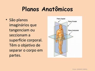 Planos Anatômicos
• São planos
  imaginários que
  tangenciam ou
  seccionam a
  superfície corporal.
  Têm o objetivo de
  separar o corpo em
  partes.


                         Profa. ISAMAR CABRAL
 