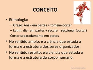 CONCEITO
• Etimologia:
  – Grego: Ana= em partes + tomein=cortar
  – Latim: dis= em partes + secare = seccionar (cortar)
  Cortar separadamente em partes
• No sentido amplo: é a ciência que estuda a
  forma e a estrutura dos seres organizados.
• No sentido restrito: é a ciência que estuda a
  forma e a estrutura do corpo humano.

                                            Profa. ISAMAR CABRAL
 