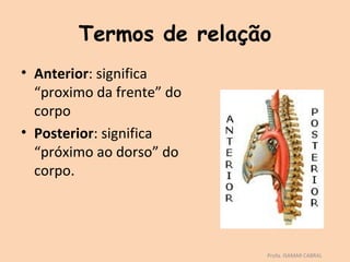 Termos de relação
• Anterior: significa
  “proximo da frente” do
  corpo
• Posterior: significa
  “próximo ao dorso” do
  corpo.




                           Profa. ISAMAR CABRAL
 