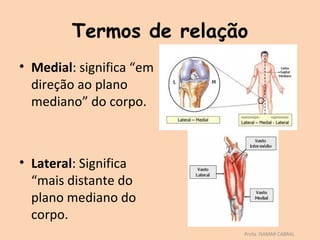 Termos de relação
• Medial: significa “em
  direção ao plano
  mediano” do corpo.



• Lateral: Significa
  “mais distante do
  plano mediano do
  corpo.
                          Profa. ISAMAR CABRAL
 