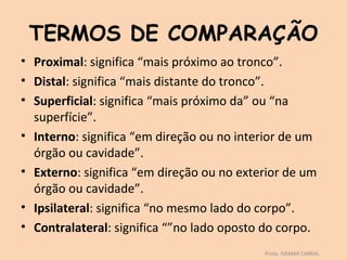TERMOS DE COMPARAÇÃO
• Proximal: significa “mais próximo ao tronco”.
• Distal: significa “mais distante do tronco”.
• Superficial: significa “mais próximo da” ou “na
  superfície”.
• Interno: significa “em direção ou no interior de um
  órgão ou cavidade”.
• Externo: significa “em direção ou no exterior de um
  órgão ou cavidade”.
• Ipsilateral: significa “no mesmo lado do corpo”.
• Contralateral: significa “”no lado oposto do corpo.
                                           Profa. ISAMAR CABRAL
 