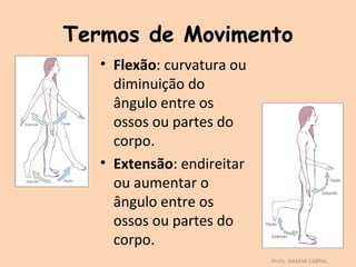 Termos de Movimento
   • Flexão: curvatura ou
     diminuição do
     ângulo entre os
     ossos ou partes do
     corpo.
   • Extensão: endireitar
     ou aumentar o
     ângulo entre os
     ossos ou partes do
     corpo.
                            Profa. ISAMAR CABRAL
 