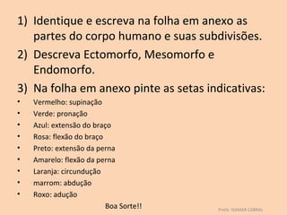 1) Identique e escreva na folha em anexo as
   partes do corpo humano e suas subdivisões.
2) Descreva Ectomorfo, Mesomorfo e
   Endomorfo.
3) Na folha em anexo pinte as setas indicativas:
•   Vermelho: supinação
•   Verde: pronação
•   Azul: extensão do braço
•   Rosa: flexão do braço
•   Preto: extensão da perna
•   Amarelo: flexão da perna
•   Laranja: circundução
•   marrom: abdução
•   Roxo: adução
                          Boa Sorte!!   Profa. ISAMAR CABRAL
 