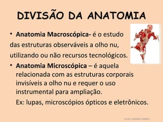 DIVISÃO DA ANATOMIA
• Anatomia Macroscópica- é o estudo
das estruturas observáveis a olho nu,
utilizando ou não recursos tecnológicos.
• Anatomia Microscópica – é aquela
  relacionada com as estruturas corporais
  invisíveis a olho nu e requer o uso
  instrumental para ampliação.
  Ex: lupas, microscópios ópticos e eletrônicos.

                                       Profa. ISAMAR CABRAL
 