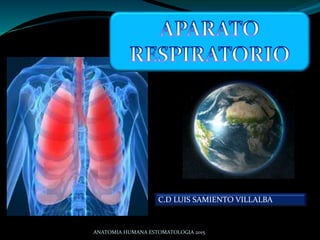 C.D LUIS SAMIENTO VILLALBA
ANATOMIA HUMANA ESTOMATOLOGIA 2015
 