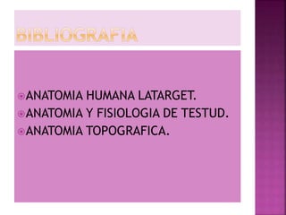 ANATOMIA HUMANA LATARGET.
ANATOMIA Y FISIOLOGIA DE TESTUD.
ANATOMIA TOPOGRAFICA.
 