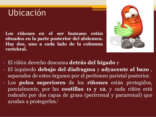 El dolor en humeral y sheynom el departamento de la causa