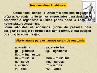 Nomenclatura Anatômica
Como toda ciência, a Anatomia tem sua linguagem
própria. Ao conjunto de termos empregados para designar e
descrever o organismo ou suas partes dá-se o nome de
Nomenclatura Anatômica.
Foram abolidos os epônimos (nome de pessoas para
designar coisas) e os termos indicam a forma, a sua posição
ou situação ou seu trajeto.
Abreviaturas para os termos gerais de Anatomia
a. – artéria aa. – artérias
gl. – glândula lig. – ligamento
ligg. – ligamentos
m. – músculo mm. – músculos
n. – nervo nn. – nervos
r. – ramo rr. – ramos
v. – veia vv. – veias
 