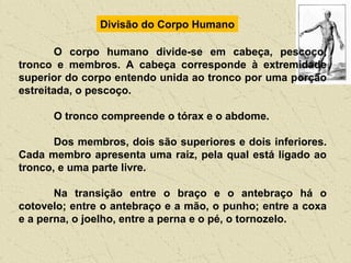 Divisão do Corpo Humano
O corpo humano divide-se em cabeça, pescoço,
tronco e membros. A cabeça corresponde à extremidade
superior do corpo entendo unida ao tronco por uma porção
estreitada, o pescoço.
O tronco compreende o tórax e o abdome.
Dos membros, dois são superiores e dois inferiores.
Cada membro apresenta uma raiz, pela qual está ligado ao
tronco, e uma parte livre.
Na transição entre o braço e o antebraço há o
cotovelo; entre o antebraço e a mão, o punho; entre a coxa
e a perna, o joelho, entre a perna e o pé, o tornozelo.
 