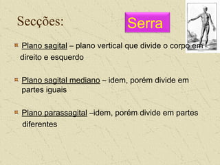 Secções:
Plano sagital – plano vertical que divide o corpo em
direito e esquerdo
Plano sagital mediano – idem, porém divide em
partes iguais
Plano parassagital –idem, porém divide em partes
diferentes
Serra
 
