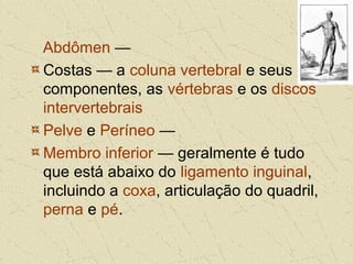 Abdômen —
Costas — a coluna vertebral e seus
componentes, as vértebras e os discos
intervertebrais
Pelve e Períneo —
Membro inferior — geralmente é tudo
que está abaixo do ligamento inguinal,
incluindo a coxa, articulação do quadril,
perna e pé.
 