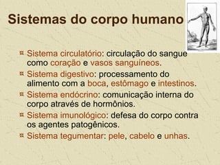 Sistemas do corpo humano
Sistema circulatório: circulação do sangue
como coração e vasos sanguíneos.
Sistema digestivo: processamento do
alimento com a boca, estômago e intestinos.
Sistema endócrino: comunicação interna do
corpo através de hormônios.
Sistema imunológico: defesa do corpo contra
os agentes patogênicos.
Sistema tegumentar: pele, cabelo e unhas.
 