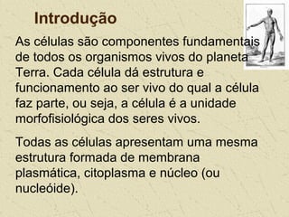 Introdução
As células são componentes fundamentais
de todos os organismos vivos do planeta
Terra. Cada célula dá estrutura e
funcionamento ao ser vivo do qual a célula
faz parte, ou seja, a célula é a unidade
morfofisiológica dos seres vivos.
Todas as células apresentam uma mesma
estrutura formada de membrana
plasmática, citoplasma e núcleo (ou
nucleóide).
 