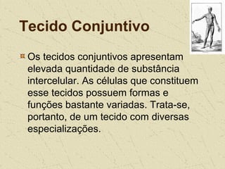 Tecido Conjuntivo
Os tecidos conjuntivos apresentam
elevada quantidade de substância
intercelular. As células que constituem
esse tecidos possuem formas e
funções bastante variadas. Trata-se,
portanto, de um tecido com diversas
especializações.
 