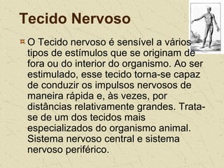Tecido Nervoso
O Tecido nervoso é sensível a vários
tipos de estímulos que se originam de
fora ou do interior do organismo. Ao ser
estimulado, esse tecido torna-se capaz
de conduzir os impulsos nervosos de
maneira rápida e, às vezes, por
distâncias relativamente grandes. Trata-
se de um dos tecidos mais
especializados do organismo animal.
Sistema nervoso central e sistema
nervoso periférico.
 