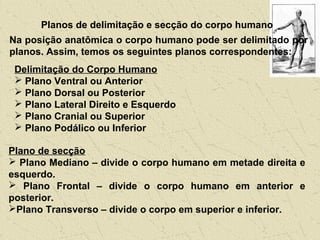 Planos de delimitação e secção do corpo humano
Na posição anatômica o corpo humano pode ser delimitado por
planos. Assim, temos os seguintes planos correspondentes:
Delimitação do Corpo Humano
 Plano Ventral ou Anterior
 Plano Dorsal ou Posterior
 Plano Lateral Direito e Esquerdo
 Plano Cranial ou Superior
 Plano Podálico ou Inferior
Plano de secção
 Plano Mediano – divide o corpo humano em metade direita e
esquerdo.
 Plano Frontal – divide o corpo humano em anterior e
posterior.
Plano Transverso – divide o corpo em superior e inferior.
 