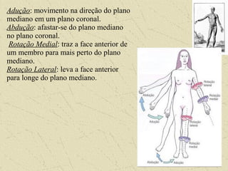 Adução: movimento na direção do plano
mediano em um plano coronal.
Abdução: afastar-se do plano mediano
no plano coronal.
Rotação Medial: traz a face anterior de
um membro para mais perto do plano
mediano.
Rotação Lateral: leva a face anterior
para longe do plano mediano.
 