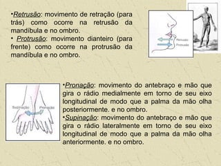 •Retrusão: movimento de retração (para
trás) como ocorre na retrusão da
mandíbula e no ombro.
• Protrusão: movimento dianteiro (para
frente) como ocorre na protrusão da
mandíbula e no ombro.
•Pronação: movimento do antebraço e mão que
gira o rádio medialmente em torno de seu eixo
longitudinal de modo que a palma da mão olha
posteriormente. e no ombro.
•Supinação: movimento do antebraço e mão que
gira o rádio lateralmente em torno de seu eixo
longitudinal de modo que a palma da mão olha
anteriormente. e no ombro.
 
