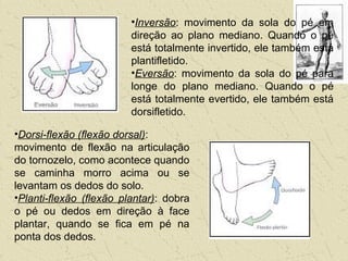 •Inversão: movimento da sola do pé em
direção ao plano mediano. Quando o pé
está totalmente invertido, ele também está
plantifletido.
•Eversão: movimento da sola do pé para
longe do plano mediano. Quando o pé
está totalmente evertido, ele também está
dorsifletido.
•Dorsi-flexão (flexão dorsal):
movimento de flexão na articulação
do tornozelo, como acontece quando
se caminha morro acima ou se
levantam os dedos do solo.
•Planti-flexão (flexão plantar): dobra
o pé ou dedos em direção à face
plantar, quando se fica em pé na
ponta dos dedos.
 