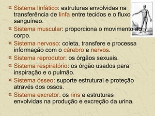 Sistema linfático: estruturas envolvidas na
transferência de linfa entre tecidos e o fluxo
sanguíneo.
Sistema muscular: proporciona o movimento ao
corpo.
Sistema nervoso: coleta, transfere e processa
informação com o cérebro e nervos.
Sistema reprodutor: os órgãos sexuais.
Sistema respiratório: os órgão usados para
inspiração e o pulmão.
Sistema ósseo: suporte estrutural e proteção
através dos ossos.
Sistema excretor: os rins e estruturas
envolvidas na produção e excreção da urina.
 